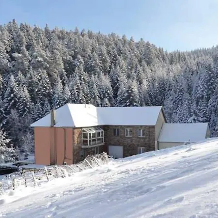 Gite GRETEL de la Ferme du Schneeberg Wangenbourg-Engenthal Extérieur photo