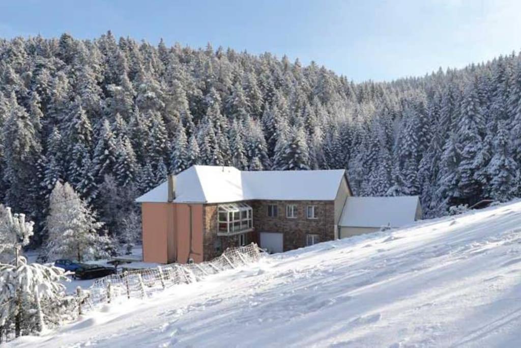 Gretel De La Ferme Du Schneeberg *