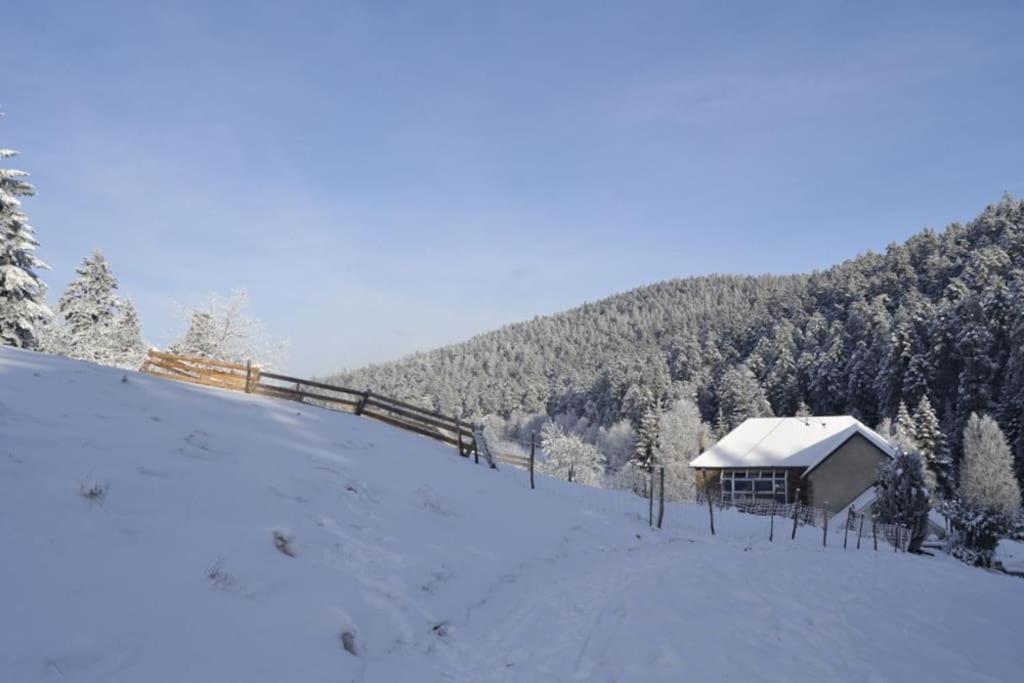 Apartment Gretel De La Ferme Du Schneeberg *