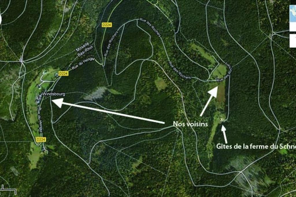 Gretel De La Ferme Du Schneeberg *